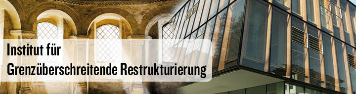 Logo Institut für Grenzüberschreitende Restrukturierung - Verlag INDat